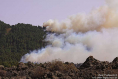 Waldbrand-bei-El-Paso-16.07.12_011