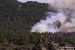 Waldbrand-bei-El-Paso-16.07.12_028