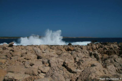 IMG_1417_Son-Parc-Cap-Gros