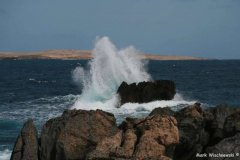 IMG_1743_Son-Parc-Cap-Gros