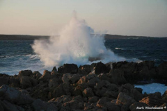 IMG_1785_Son-Parc-Cap-Gros