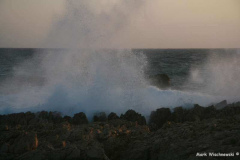 IMG_1940_Son-Parc-Cap-Gros