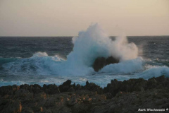 IMG_1946_Son-Parc-Cap-Gros