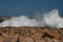 IMG_1968_Son-Parc-Cap-Gros