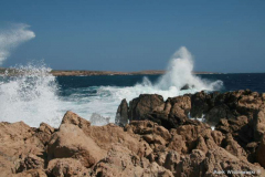IMG_2014_Son-Parc-Cap-Gros