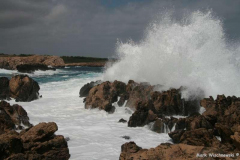 IMG_2091_Son-Parc-Cap-Gros