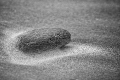Juist-22.10.2010_32-SW