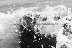 Strand-Corrownisky-04.08.2013_113