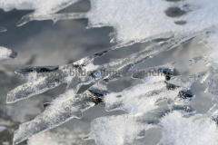 Uelfetal-11.02.2012-Lucas_061