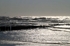 Landschaft - Niederlande