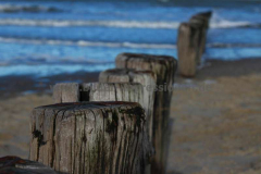 Cadzand-Bad-_07_02_2016_010