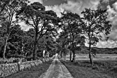Ardpatrick-15.07.2015_010-SW
