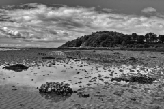 Ardpatrick-15.07.2015_019-SW