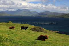B8073-Loch-Thuart-08.07.2015_002Castle-Moy
