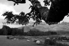 Castle-Moy-L.-Buie-05.07.2015_032
