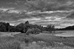 Cutalla-Cottage-30.06.2015_014-II