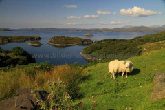 Drumbeg-23.07.2014_004