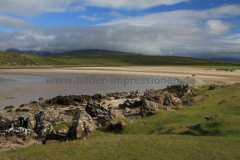 Enard-Bay-28.07.2016_0221