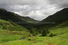 Loch-Lomond-Nat.-Park-18.07.15_001