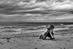 Machrihanish-Beach-17.07.2015_039-SW