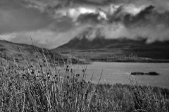 Near-Inverkirkaig-28.07.2016_032-SW
