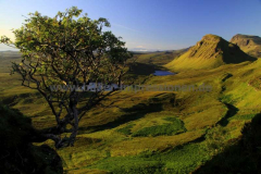 Quiraing-11.07.2014_073
