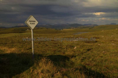 Red-Point-24.07.2014_005