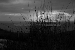 Stoer-Head-13.08.2011_19