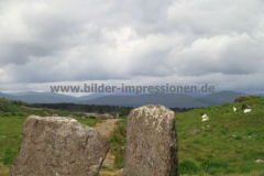 Stone-Circle-Uragh-30.07.2013_011