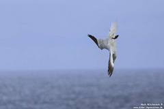 Port-Nils-16.07.2014_045