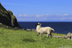 Talisker-Bay-09.07.2104_06