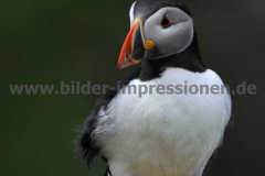 Lunga-09.07.2015_188
