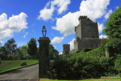 Knappogue-Castle-26.07.2013_007