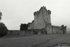 Ross-Castle-01.08.2013_005