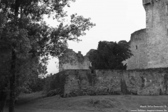 Ross-Castle-01.08.2013_011