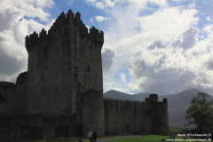 Ross-Castle-02.08.2013_015