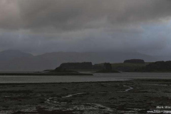 Cuildhu-Croft-01.07.2017_019