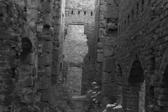 Slains-Castle-13.07.2016_041