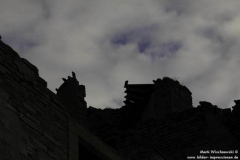 Thurso-Castle-Ruine-22.08.2011_07