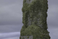 Canisbay-Friedhof-30.08.2011_07