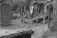 Friedhof-Loch-Carron-21.07.2014_008