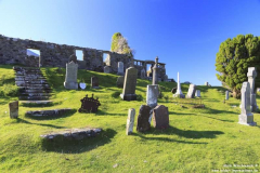 Friedhof-an-8083-10.07.2014_015