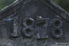 Rothes-Friedhof-30.07.2016_25