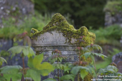 Saddell-Abbey-13.07.2015_004