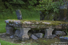 Saddell-Abbey-13.07.2015_009