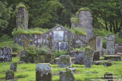 Saddell-Abbey-13.07.2015_017