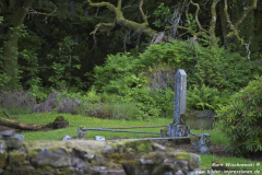Saddell-Abbey-13.07.2015_026