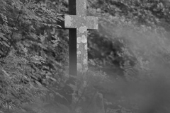Saddell-Abbey-13.07.2015_032