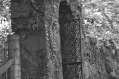 Saddell-Abbey-13.07.2015_034
