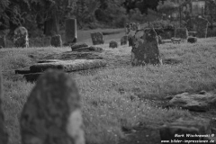 Saddell-Abbey-13.07.2015_051